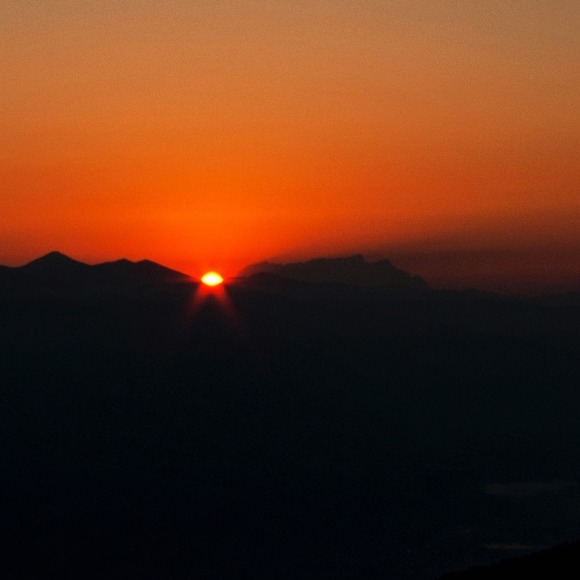 Meet your Posher, Robin - Picture 1 of 1